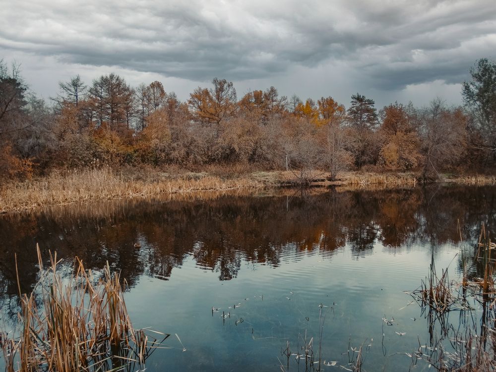 Photograph by Анжелика Трошина