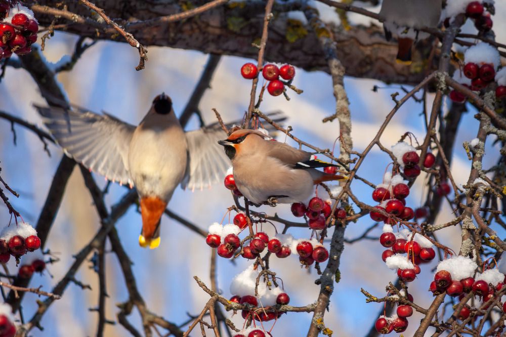 Photograph by Вячеслав Шуплецов