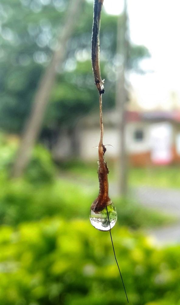 Photograph by ISHANK DESHPANDE