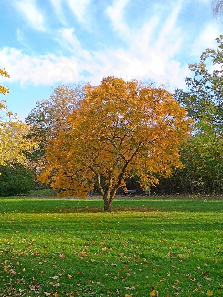 Photograph by Oleg Yashin