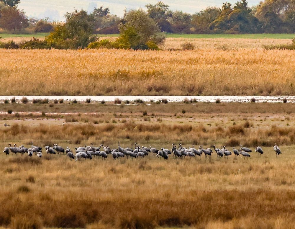 Photograph by Eva Wiedemann