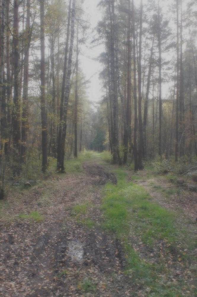 Photograph by Леонид Владимирович