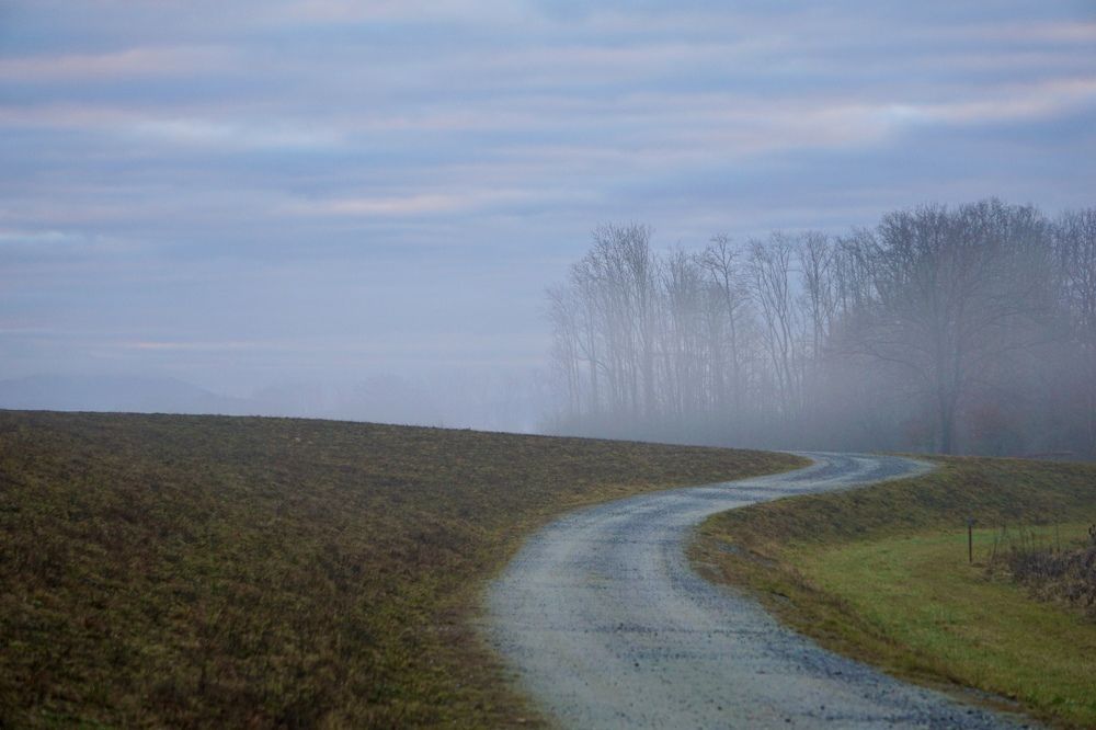 Фотография автора Liudmila Kiermeier