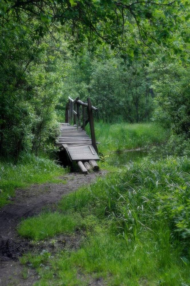 Photograph by Леонид Владимирович