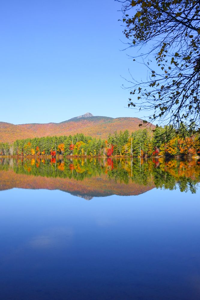 Photograph by Ellen Lichtenheldt