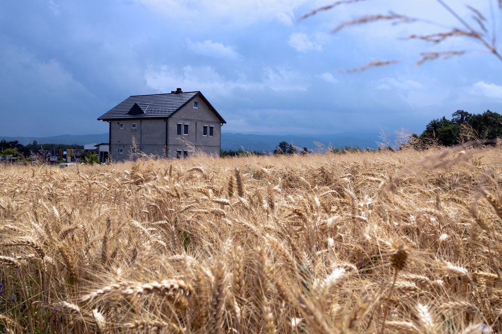 Photograph by Ali Alqassab