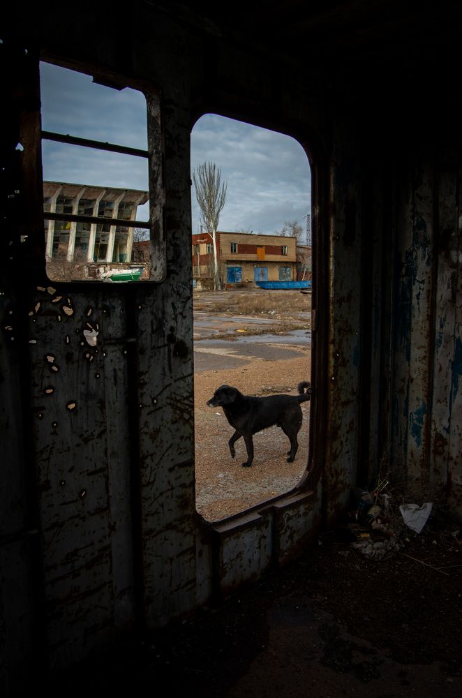 Photograph by Анна Иванова