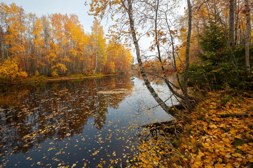 Photograph by Александр Кузнецов