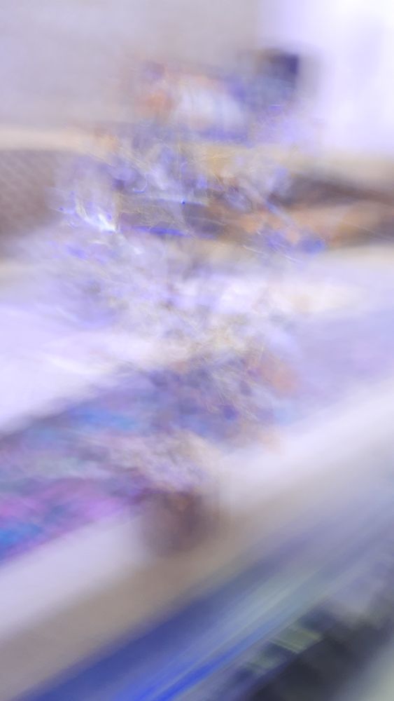 Photograph by Khushi Vashisth