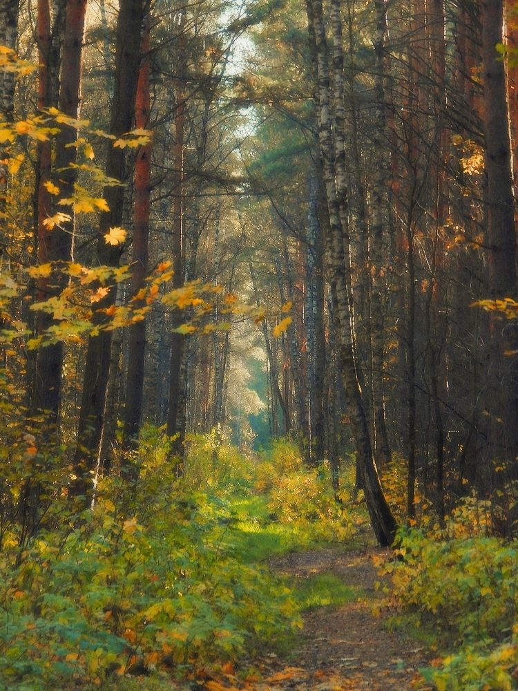 Photograph by Леонид Владимирович