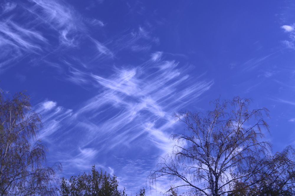 Photograph by Иван Лукичев