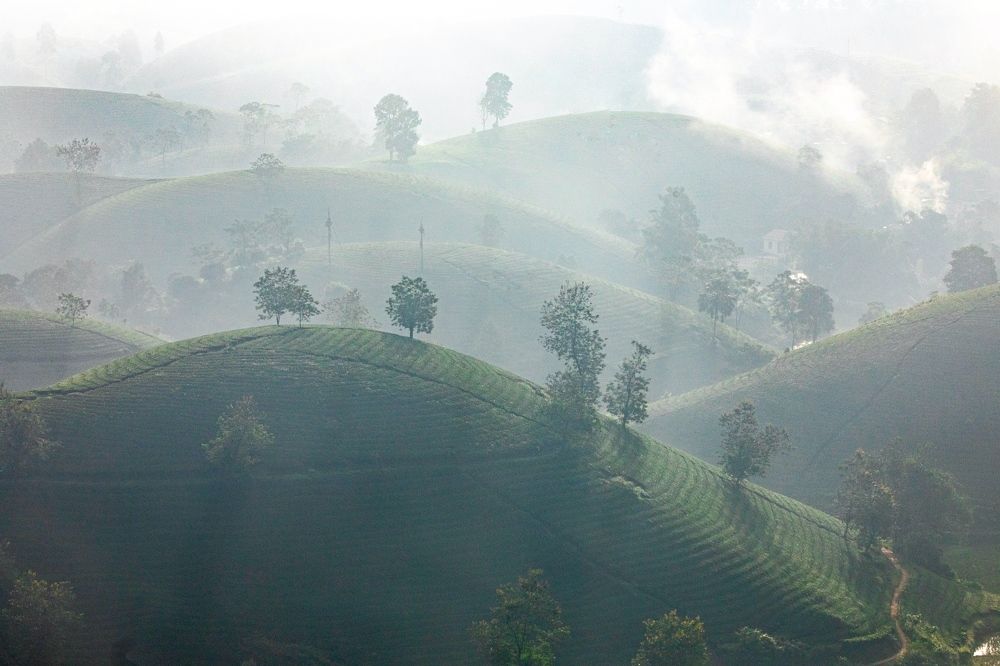 Photograph by Nguyen Thi Chieu Xuan