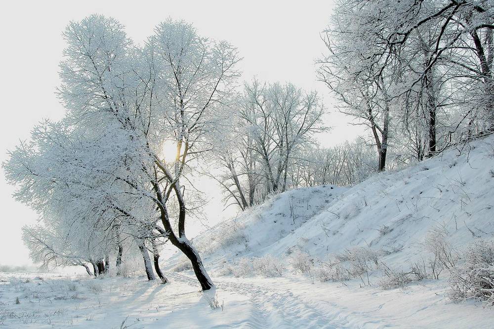 Фотография автора Николай Семенец