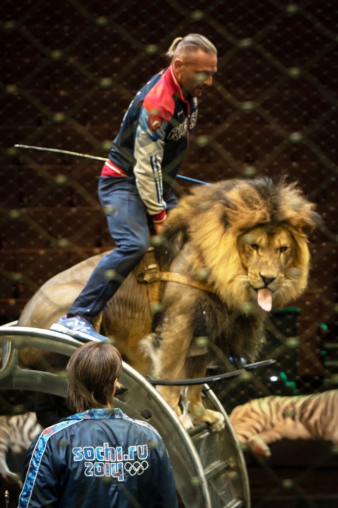 Фотография автора Ольга Пачина