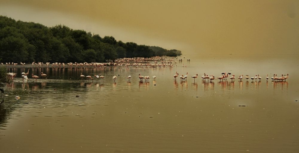 Фотография автора Anil Pradhan
