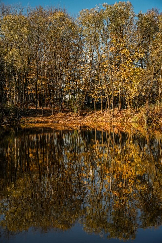 Photograph by Алена Лосева