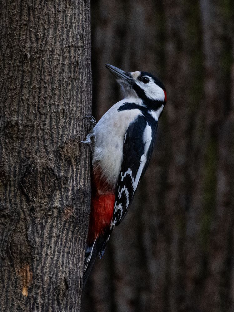 Photograph by Игорь Криулин