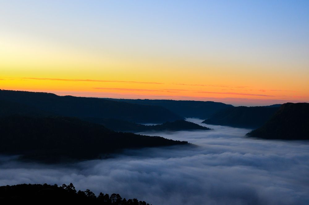 Photograph by SRIMANTA RAY