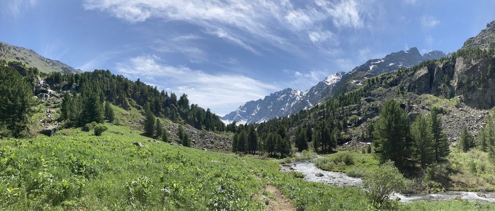 Фотография автора Наталья Пасечко