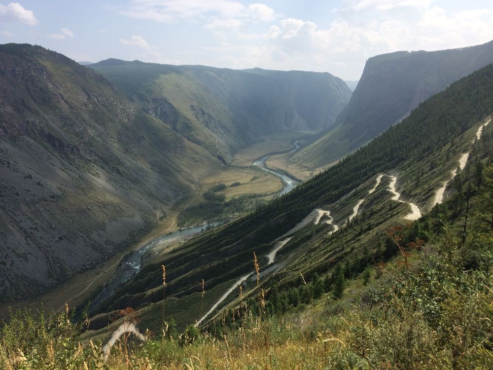 Фотография автора Наталья Пасечко