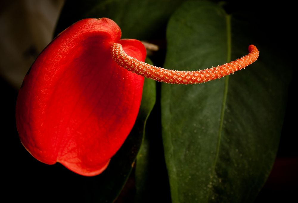 Photograph by Татьяна Дрозд