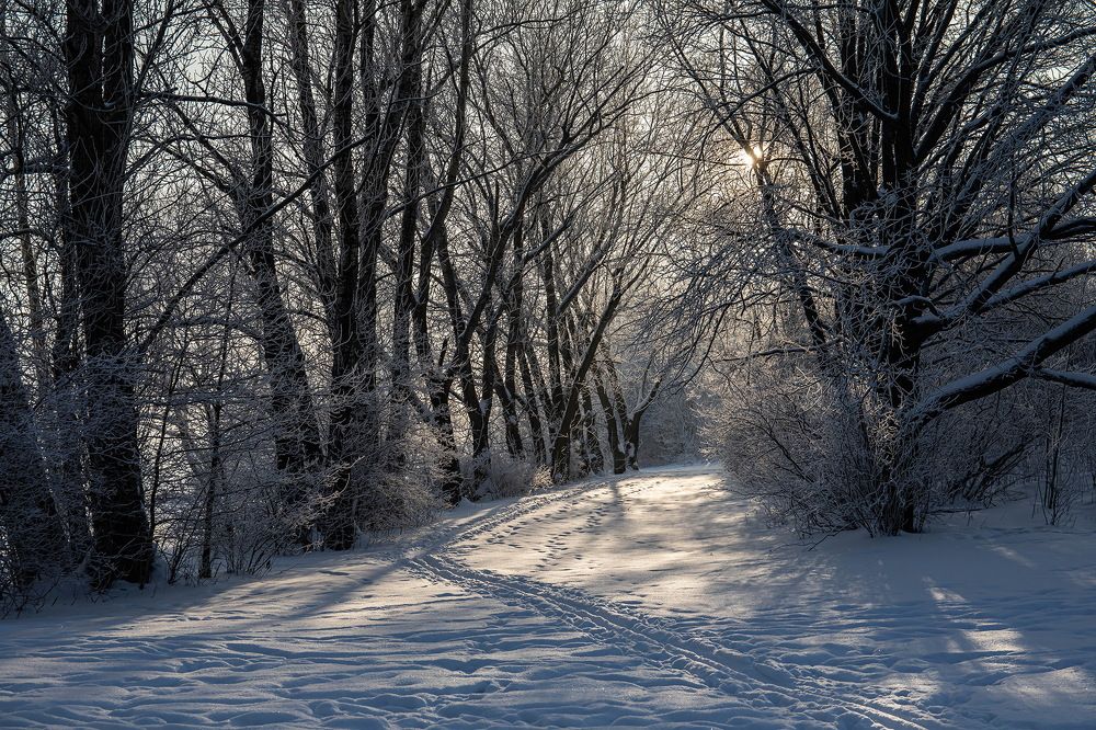 Photograph by Волынский Виктор