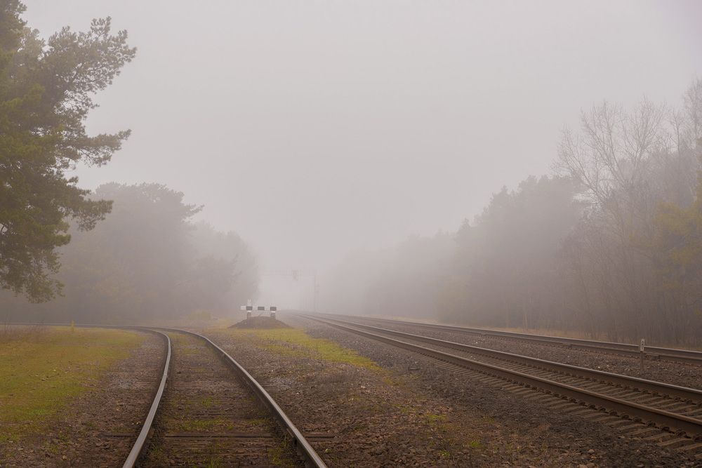 Photograph by Леонид Соболев