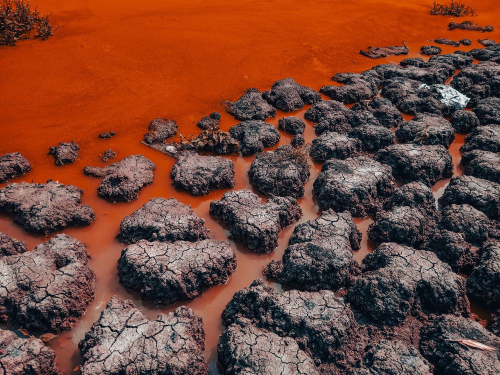 Photograph by Souvik Bhattacharyya