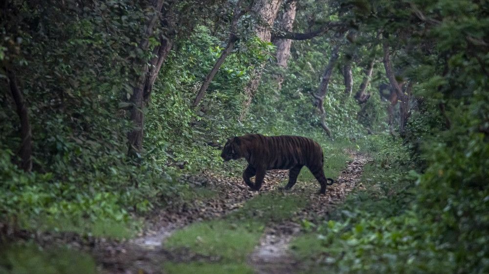 Photograph by RAJEEV JAIN