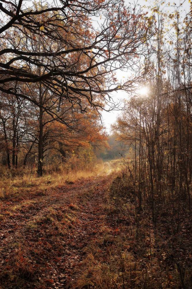 Photograph by Юлия