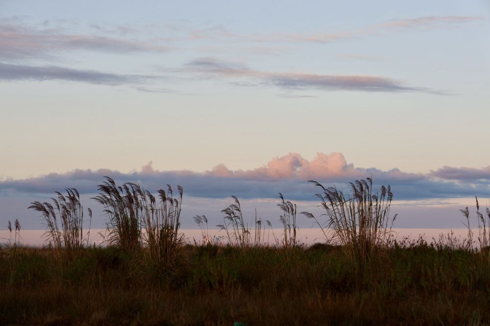 Photograph by Юлия Максютенко