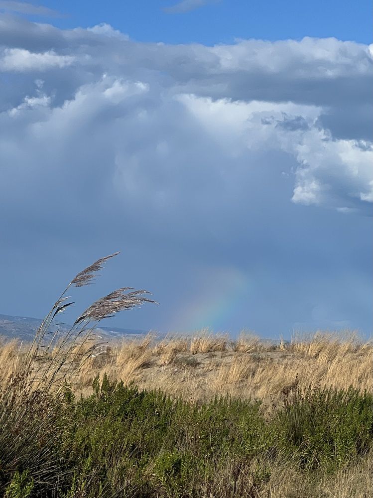 Photograph by Юлия Максютенко