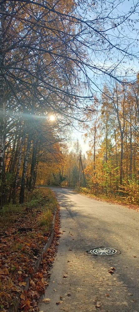 Photograph by Филипп