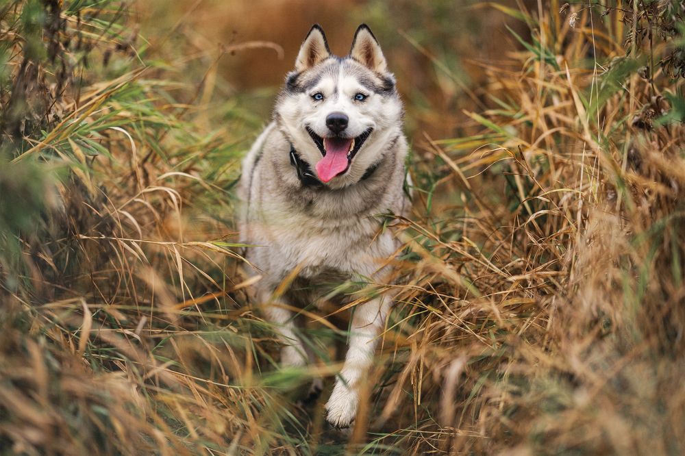 Photograph by Даниил Гладышев