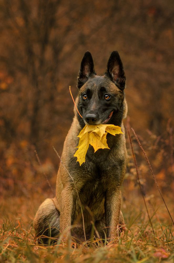 Photograph by Ольга Новикова