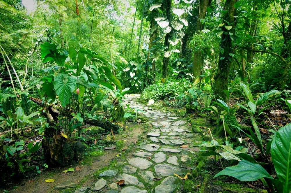 Photograph by Dan Steeves