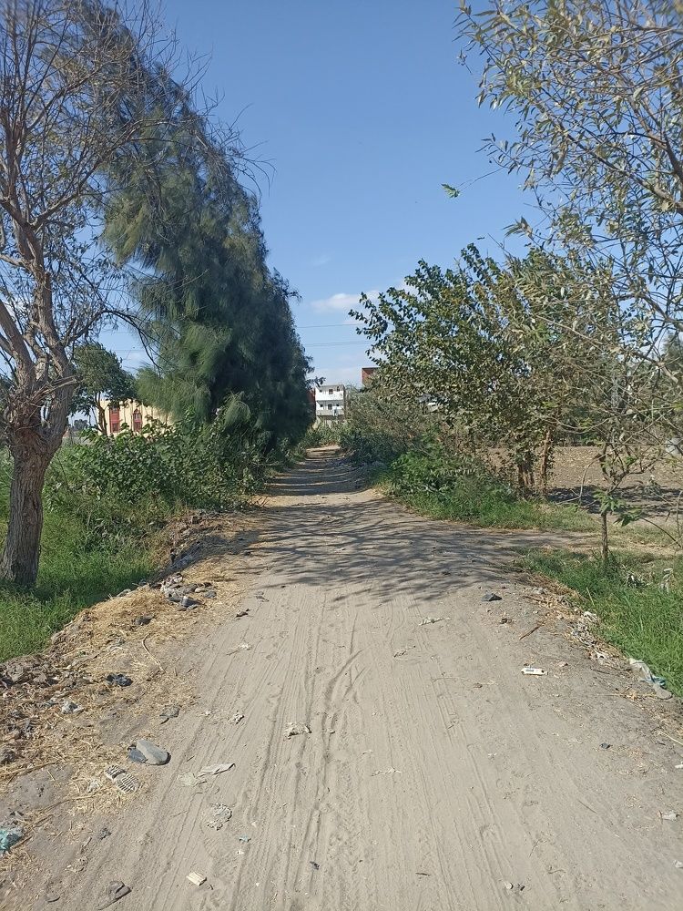 Photo #11224760