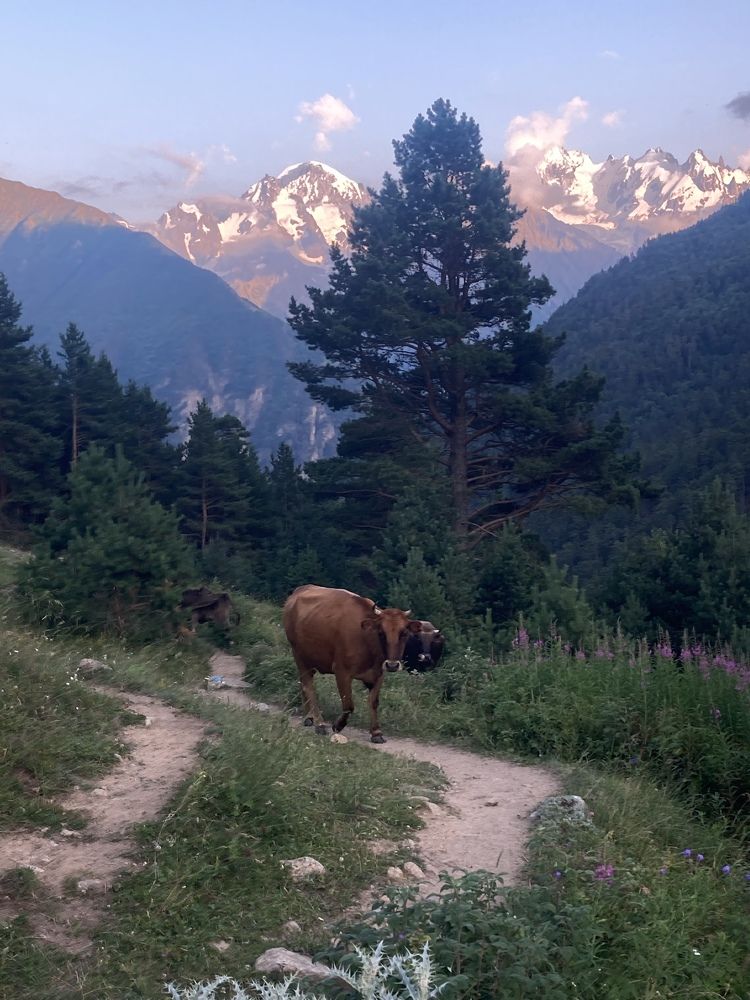 Photograph by Ксения Березкина