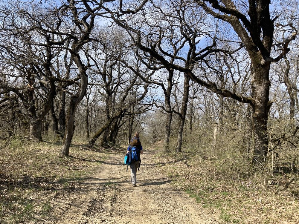 Photograph by Ксения Березкина