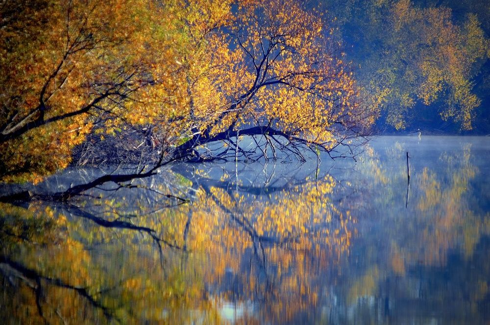 Фотография автора Ковяк Сергей Васильевич