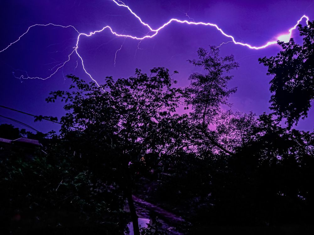 Photograph by Souvik Bhattacharyya