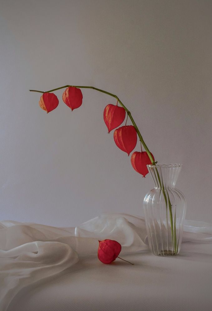 Photograph by Кира Иванова