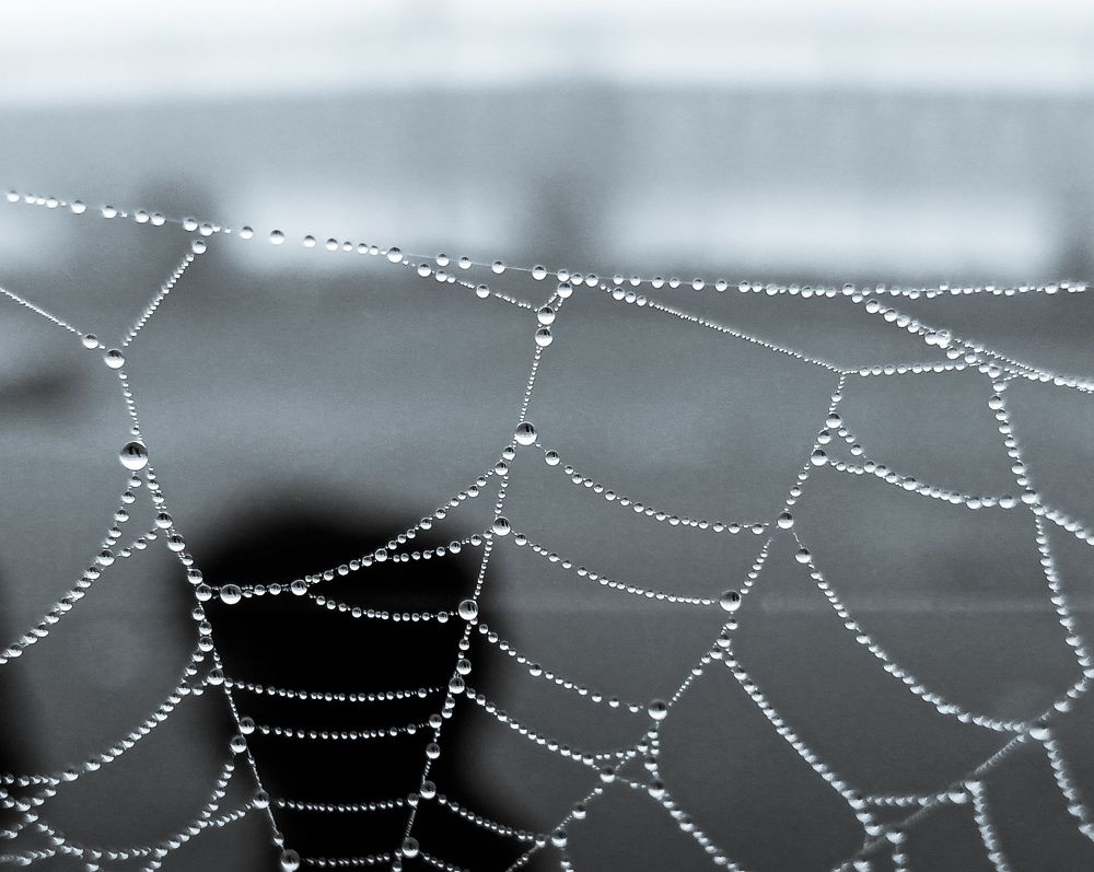 Photograph by Souvik Bhattacharyya