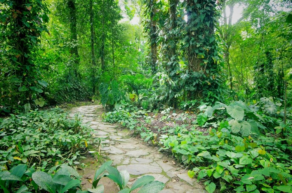 Photograph by Dan Steeves