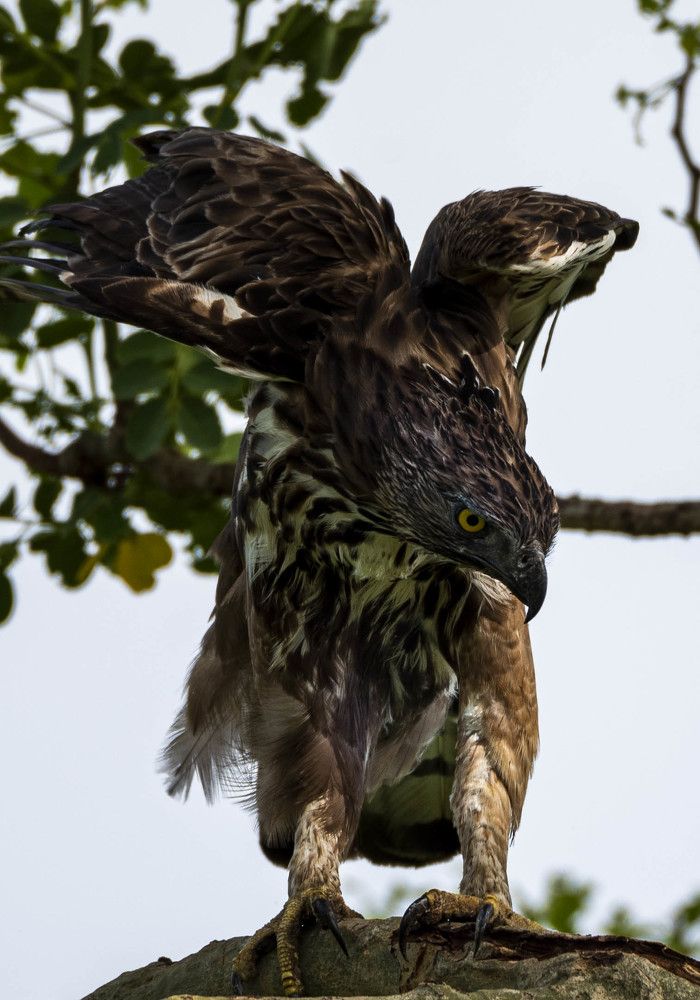 Photograph by RAJEEV JAIN