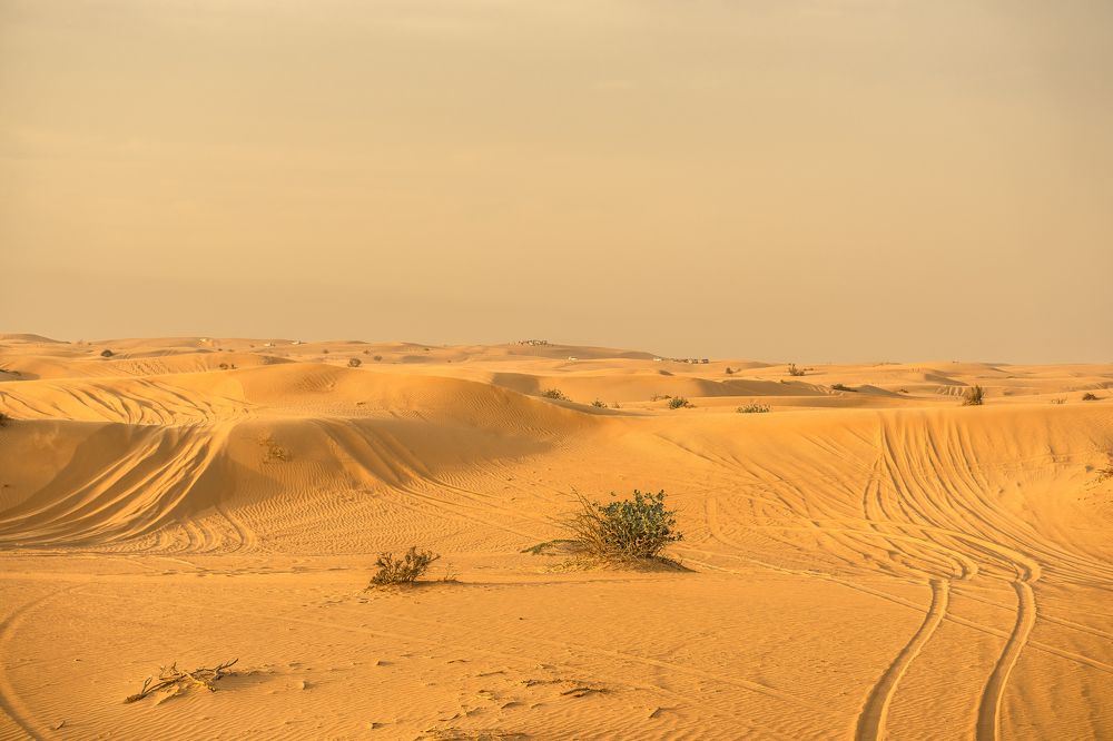 Photograph by Сергей Плотников