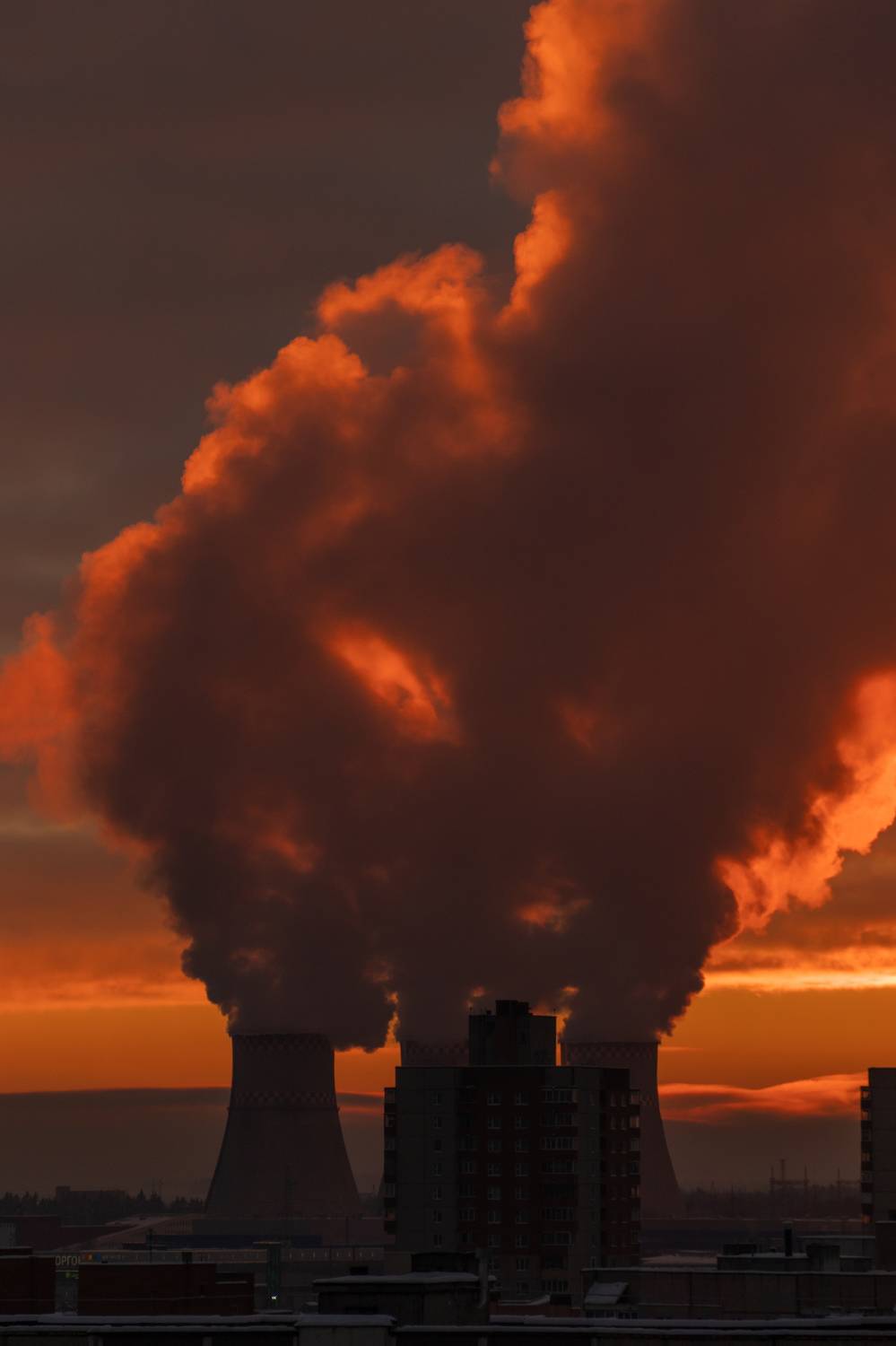 Фотография #11224822