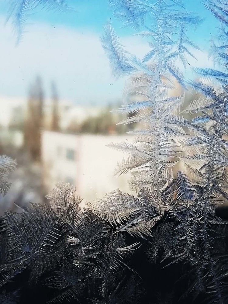 Photograph by Дарья Колесниченко