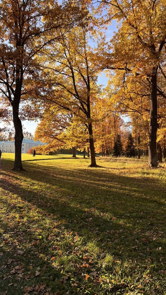 Photograph by Анна Болучевская