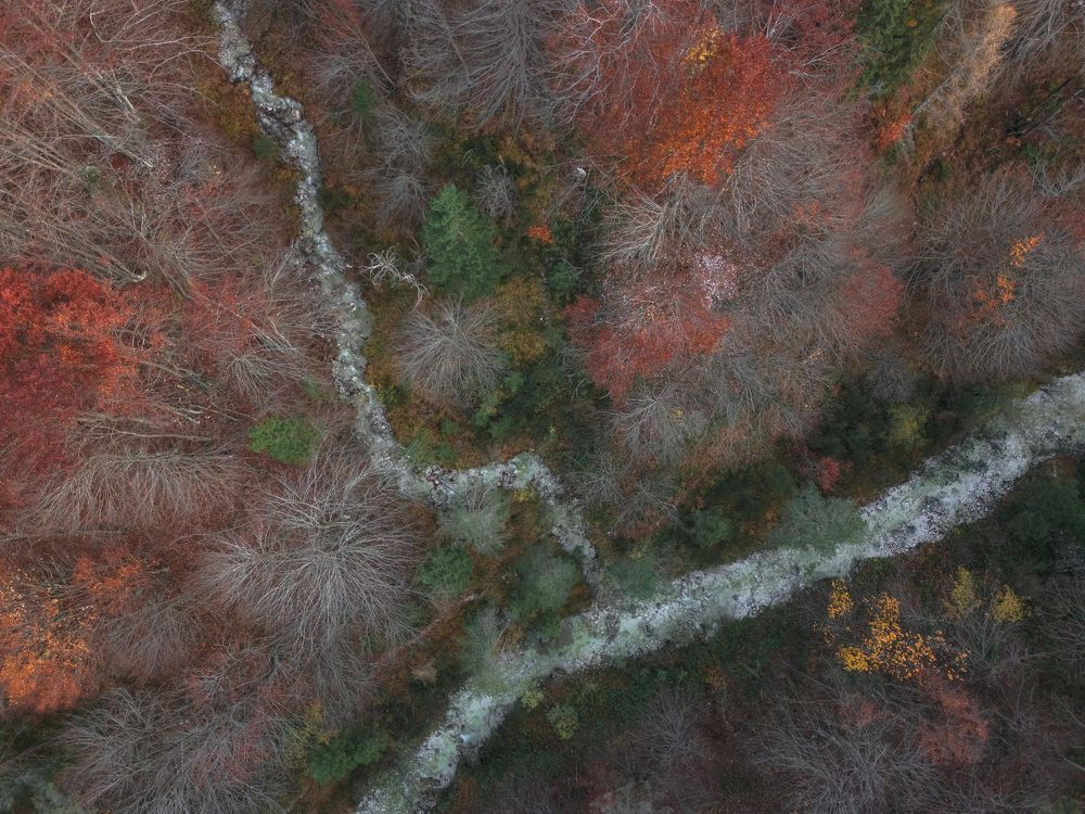 Autumn from above